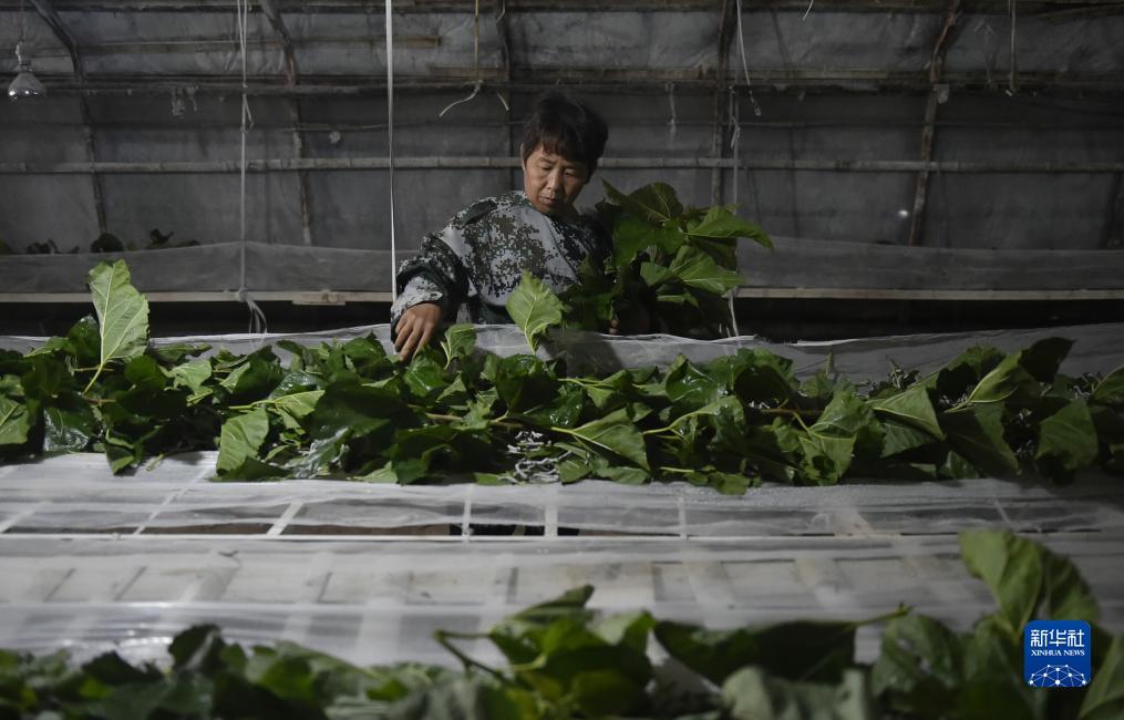 奔驰宝马游戏厅